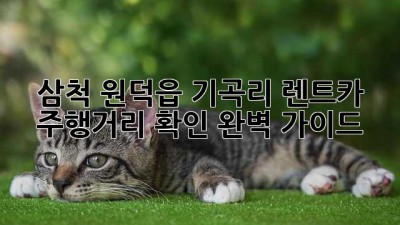 삼척 원덕읍 기곡리 렌트카 주행거리 확인 완벽 가이드