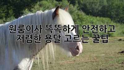 📦 원룸이사, 똑똑하게! 안전하고 저렴한 용달 고르는 꿀팁 🍯